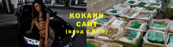 дживик Алзамай
