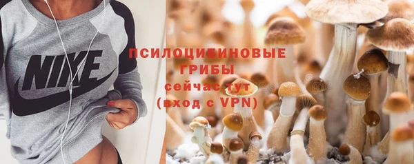 дживик Алзамай