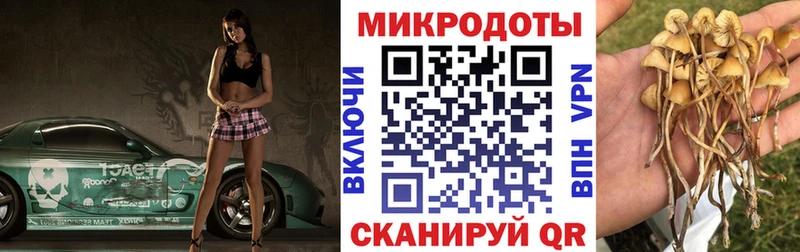 Галлюциногенные грибы Magic Shrooms  Игра 